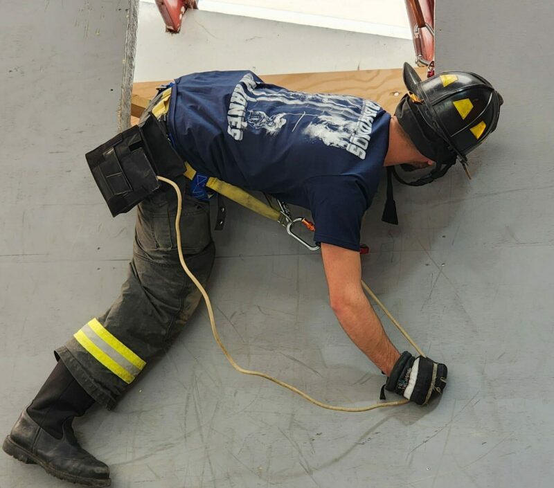 CON ARNÉS - Imagen 3